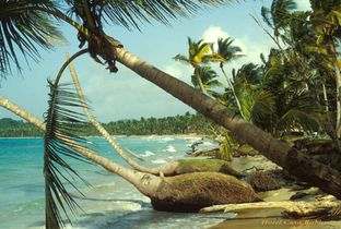 Hotel Casa Robinson Sea view